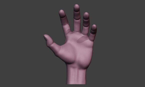Hand 3D Print Model: A Versatile Tool for Modern Design