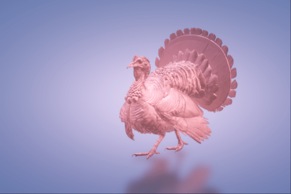 Thanksgiving Turkey: A Detailed 3D Print for the Holiday Season